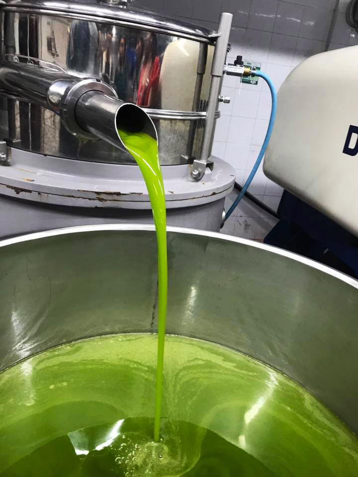 パンタレオ