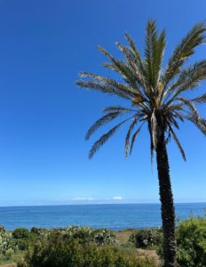 Portopalo海