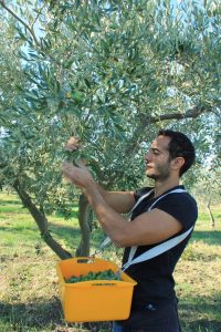 ヴァカーラ　NESPECA