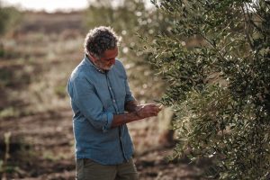 miceli & sensat verde