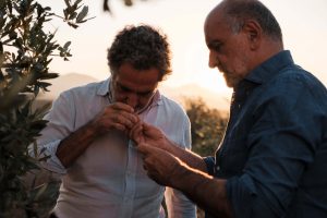 miceli & sensat verde