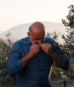 miceli & sensat verde